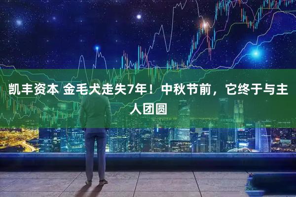 凯丰资本 金毛犬走失7年！中秋节前，它终于与主人团圆