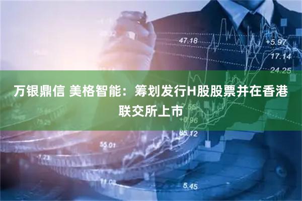 万银鼎信 美格智能：筹划发行H股股票并在香港联交所上市