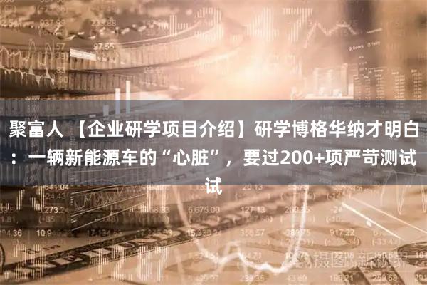 聚富人 【企业研学项目介绍】研学博格华纳才明白：一辆新能源车的“心脏”，要过200+项严苛测试