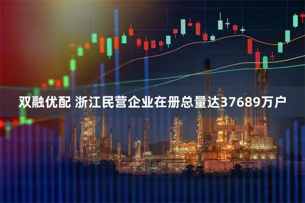 双融优配 浙江民营企业在册总量达37689万户